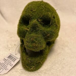 Target DISCONTINUED Mossy Skull Goth Halloween Decor